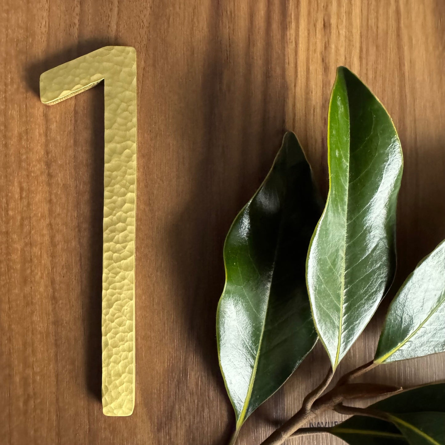 House Numbers and Letters Bayside Luxe Signage - Hammered Satin Brass Floating Numbers and Letters - Noosa 10cm