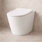 Bathroom Noosa Ceramic Toilet Universal