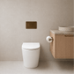 Bathroom Noosa Ceramic Toilet with Rectangle Antique Brass Flush Plate
