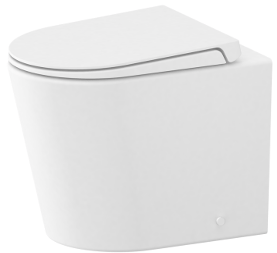 Bathroom Noosa Ceramic Toilet with Round Gunmetal Flush Plate