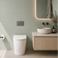 Bathroom Noosa Ceramic Toilet with Round Gunmetal Flush Plate