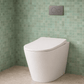 Bathroom Noosa Ceramic Toilet with Round Gunmetal Flushplate