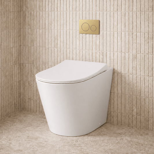 Bathroom Noosa Ceramic Toilet with Round Satin Brass Flush Plate