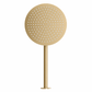 Bathroom Vaucluse Wall Mount Rain Shower Head - Satin Brass