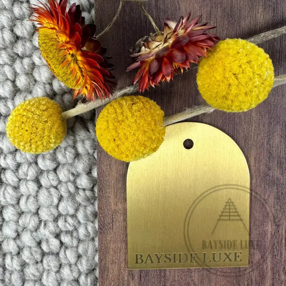 Cabinet Hardware Satin Brass Bayside Luxe Sample Finish Pack