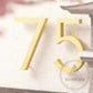 House Number Modern Bayside Luxe Floating House Numbers - Gold 150mm