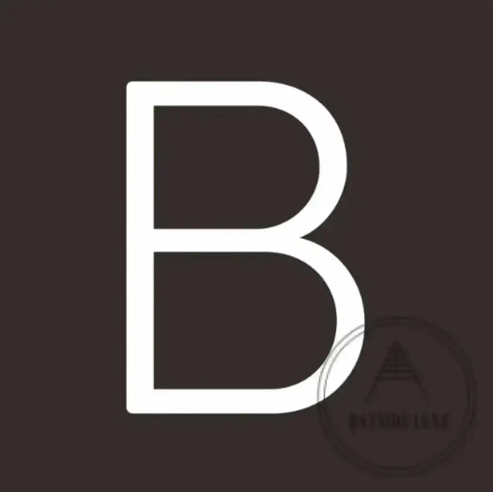 House Numbers and Letters 10 cm / B Bayside Luxe Signage - Solid White Brass Numbers and Letters - Watson's Bay 10cm